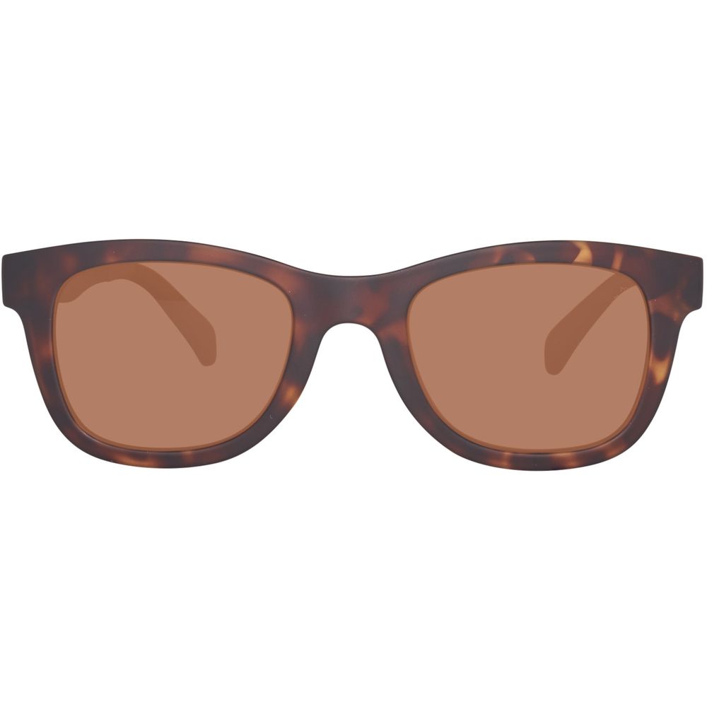 Brown Injected Sunglasses-Timberland-LabelTerrace.com