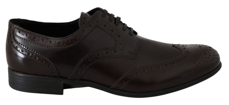 Brown Leather Broques Oxford Wingtip Shoes-Dolce & Gabbana-LabelTerrace.com