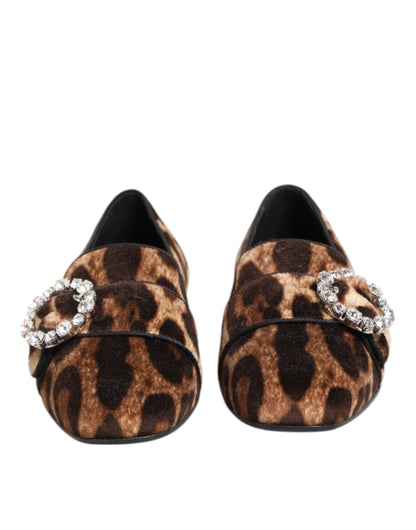 Brown Leopard Print Crystals Loafers Flats Shoes-Dolce & Gabbana-LabelTerrace.com