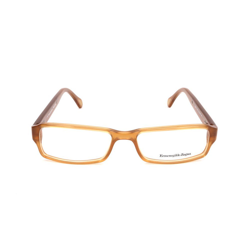 Brown Plastic Glasses (Frames)