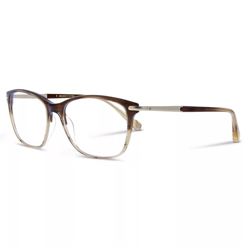 Brown Titanium Glasses (Frames)