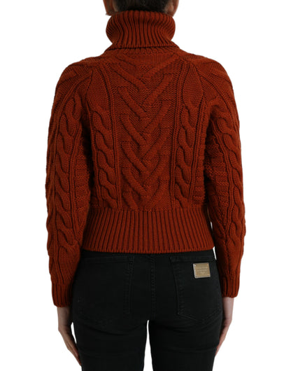 Brown Wool Knit Turtleneck Pullover Sweater-Dolce & Gabbana-LabelTerrace.com