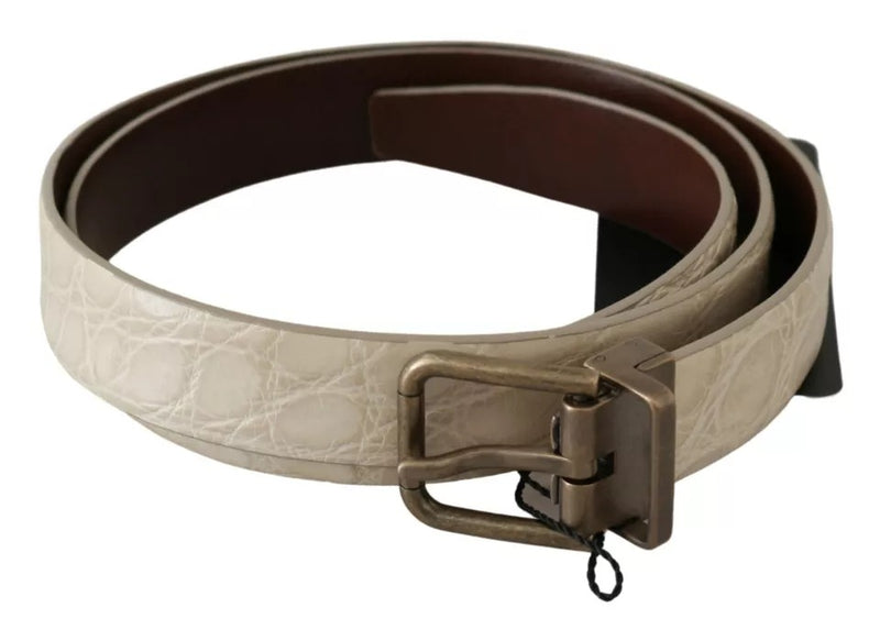 Cream Beige Gold Buckle Waist Leather Belt-Dolce & Gabbana-LabelTerrace.com