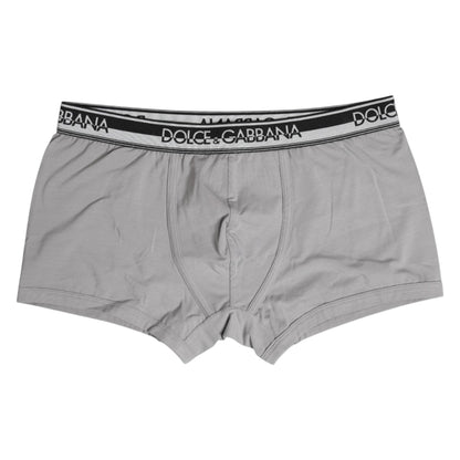 Gray Cotton Stretch Regular Boxer Underwear-Dolce & Gabbana-LabelTerrace.com