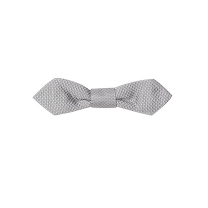 Gray Silk Bowty-Dolce & Gabbana-LabelTerrace.com