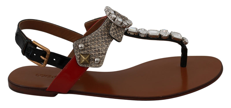Leather Ayers Crystal Sandals Flip Flops Shoes-Dolce & Gabbana-LabelTerrace.com
