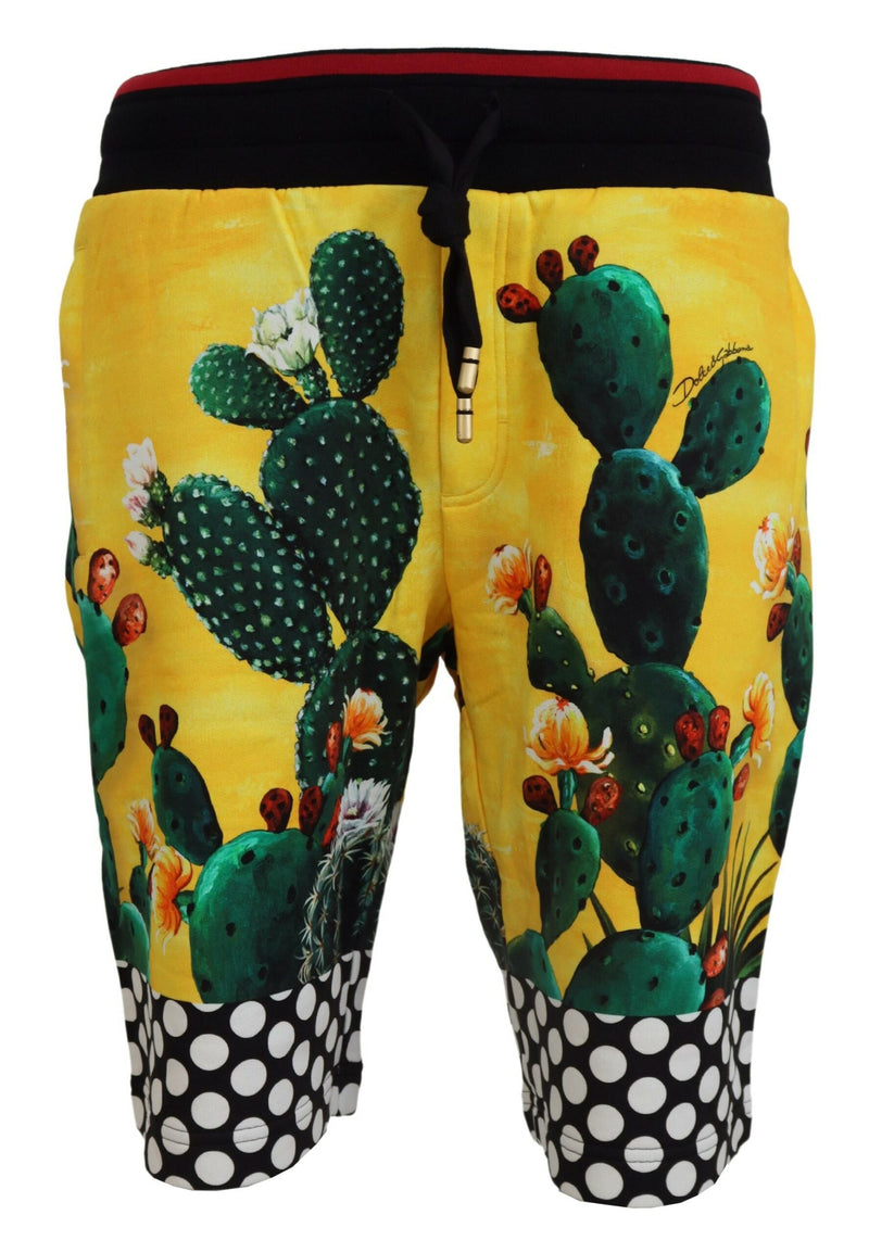 Multicolor Cactus Print Cotton Sweat Shorts-Dolce & Gabbana-LabelTerrace.com
