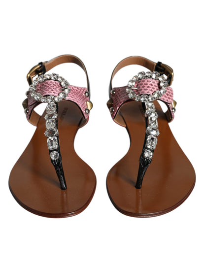 Multicolor Crystal Sandals Flip Flops Shoes-Dolce & Gabbana-LabelTerrace.com