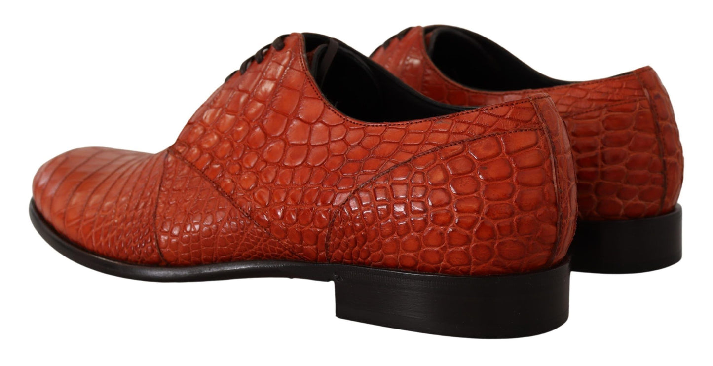 Orange Exotic Leather Dress Derby Shoes-Dolce & Gabbana-LabelTerrace.com
