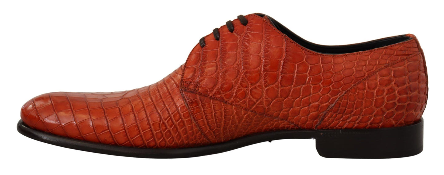Orange Exotic Leather Dress Derby Shoes-Dolce & Gabbana-LabelTerrace.com