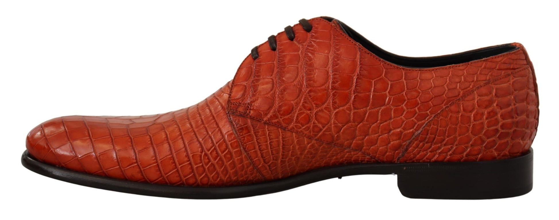 Orange Exotic Leather Dress Derby Shoes-Dolce & Gabbana-LabelTerrace.com