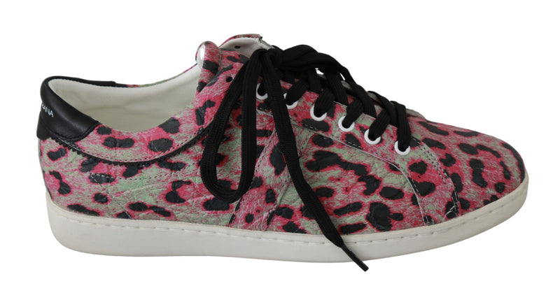 Pink Leopard Print Training Leather Flat Sneakers-Dolce & Gabbana-LabelTerrace.com