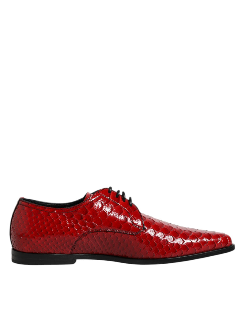 Red Exotic Leather Lace Up Dress Derby Shoes-Dolce & Gabbana-LabelTerrace.com