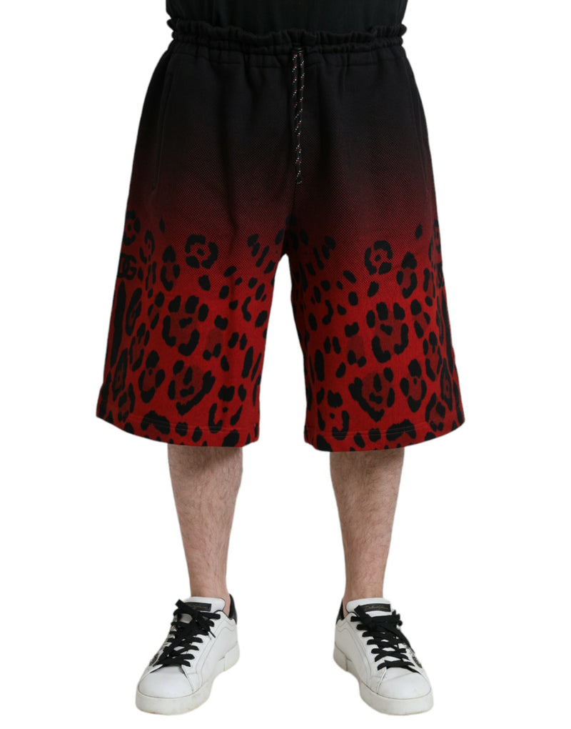 Red Leopard Print Cotton Bermuda Shorts-Dolce & Gabbana-LabelTerrace.com