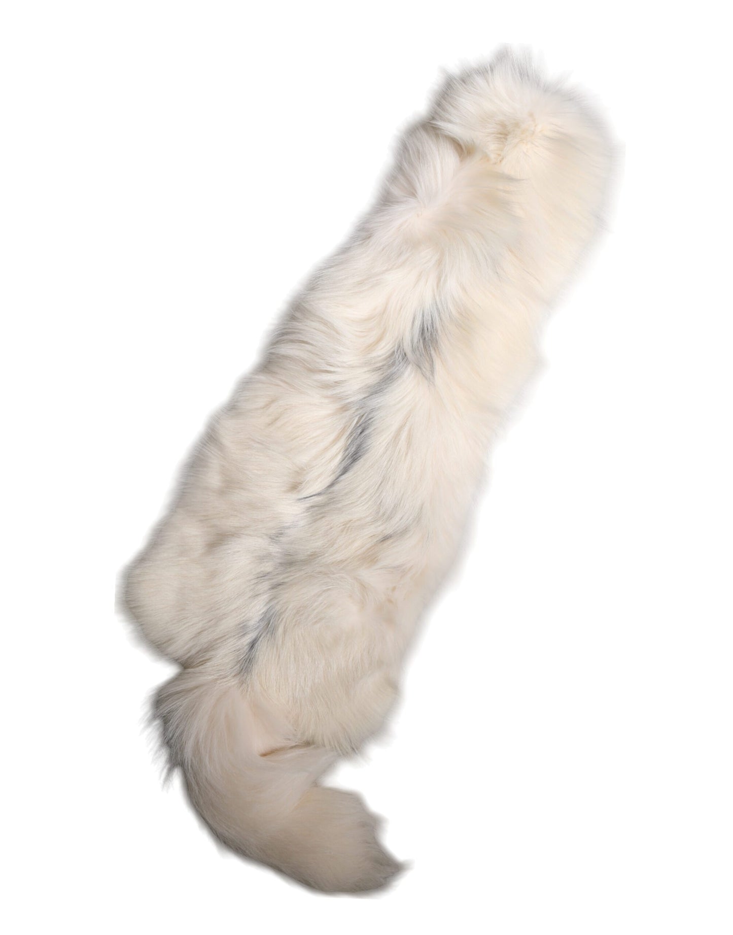 White Fox Fur Neck Wrap Warmer Winter Scarf-Dolce & Gabbana-LabelTerrace.com