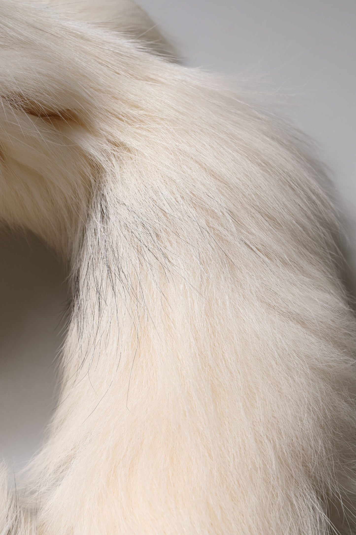 White Fox Fur Neck Wrap Warmer Winter Scarf-Dolce & Gabbana-LabelTerrace.com